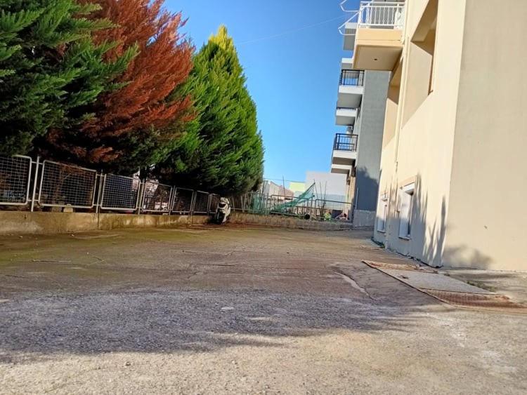 Apartamento Semi-Basement 250M From Sea, Nea Chili Alejandrópolis Exterior foto